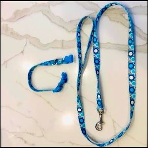 Gently Used Coastal brand Small Collar & 47” lead